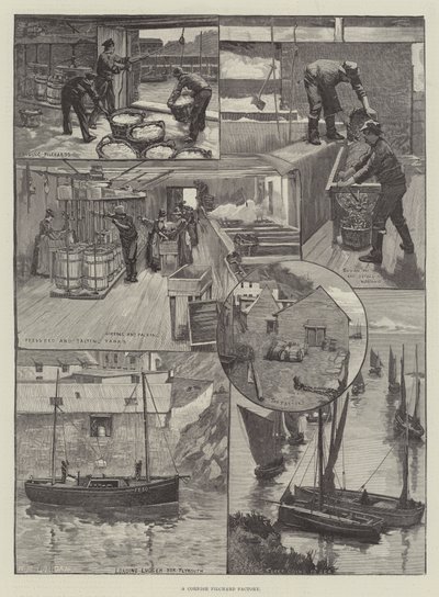 Une usine de pilchards en Cornouailles - William Mouat Loudan